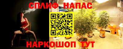 спиды Лесосибирск