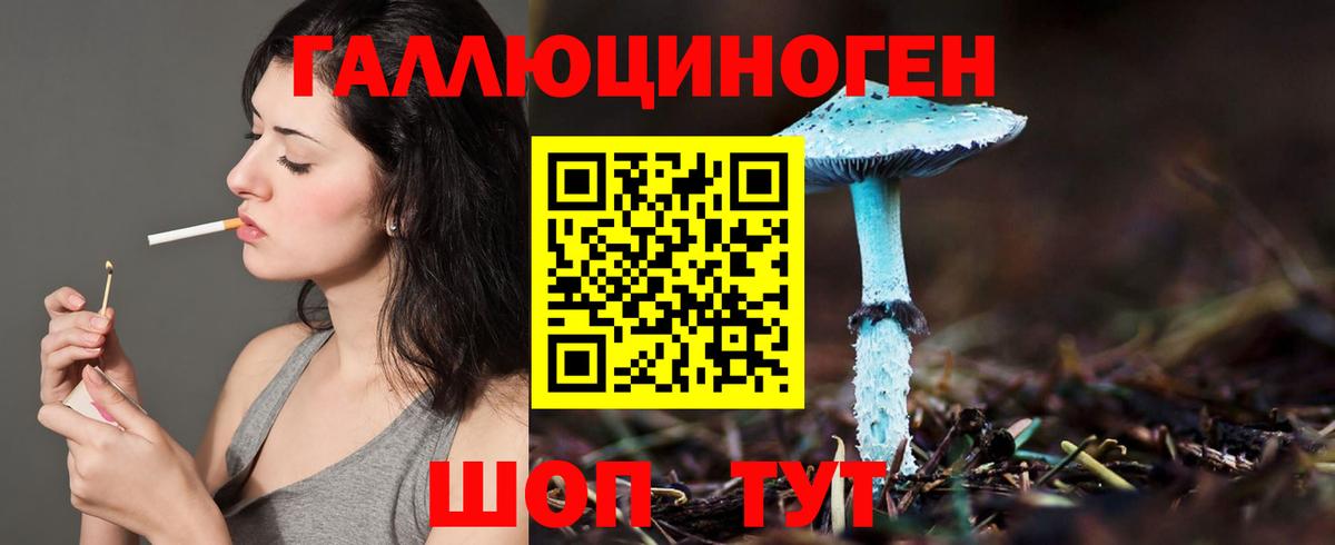 Псилоцибиновые грибы Psilocybe Йошкар-Ола